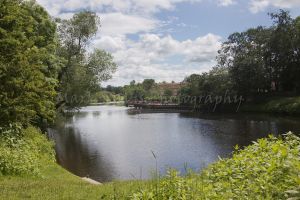 bellway yarm 5a.jpg